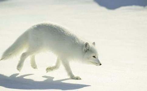 ����؂�͞��f���m������