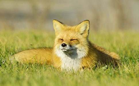 ����؂�c���f���m�����ģ����f�ٶ����_