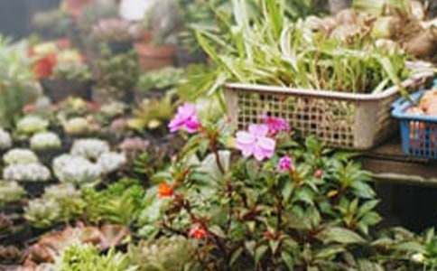 ��������400��3ƪ