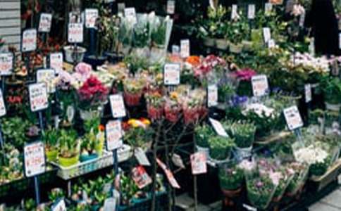 大學花店商業計劃書