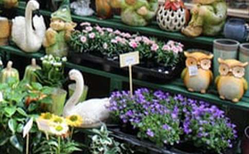 ���ꄓ�IӋ���������x15ƪ��