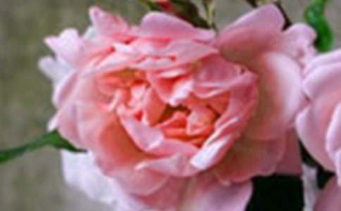 ������Ļ��䡷С�W����