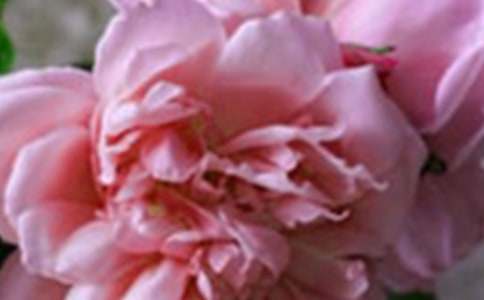 �_��ӛ����̎�Ļ������ă��㷶��