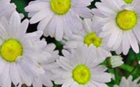 �_��ӛ���еĻ�������