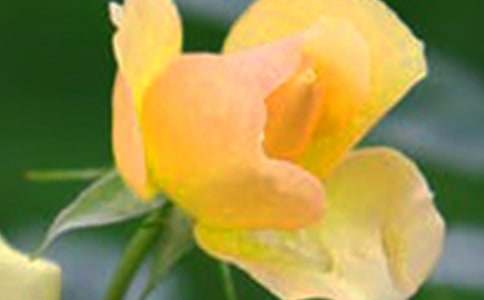 �_��ӛ����̎�Ļ�������824��