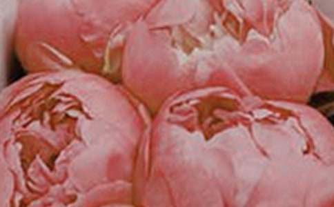 �茑����M�@����������~�Z