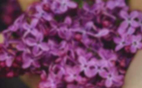 ׌�����`�Ő۵Ļ���