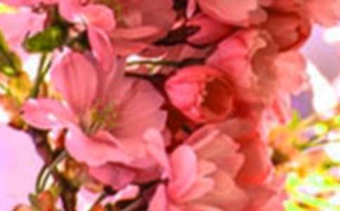 ���ݻ�����~�Z