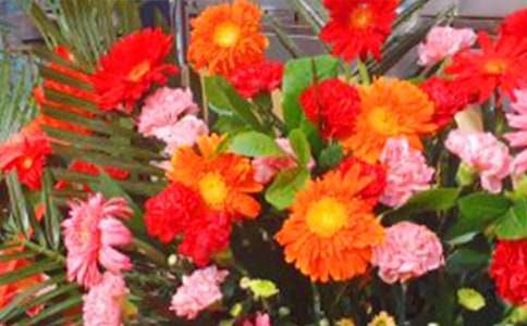 ���ڻ��@�ϵ��R�~