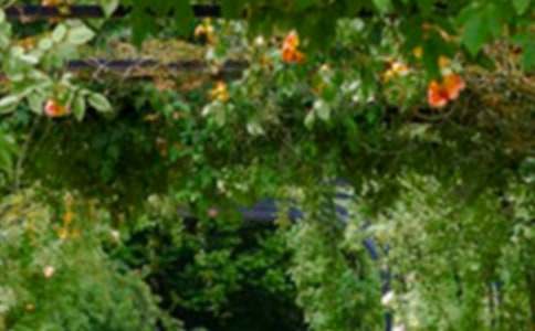 ���꼉���˵Ļ��@2017ͬ������