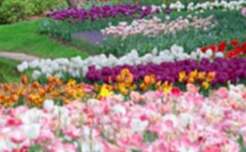 �����Ĵ󻨈@����(11ƪ)