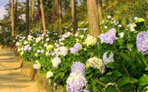 ���_���@����200��