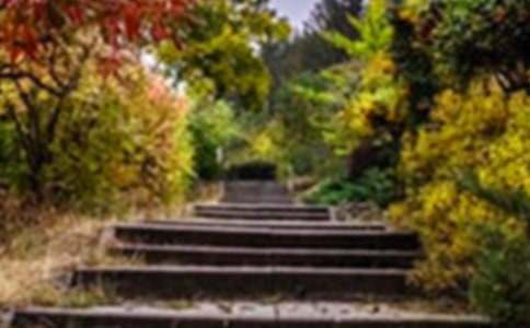 δ���Ļ��@����