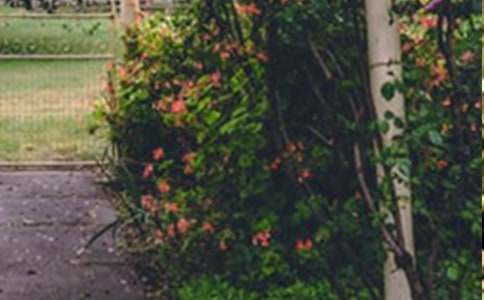 �����˵Ļ��@���̌W�OӋ