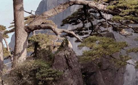 �P���茑�Sɽ�F�ă�������