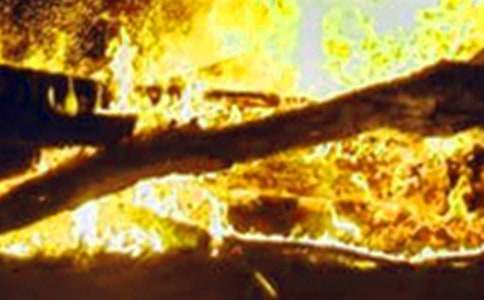 ��ͥ����ݾ�����