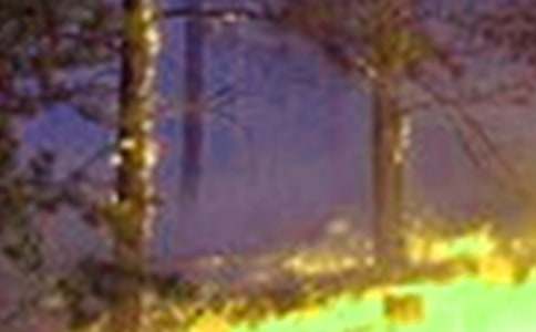 ���P�h�x�������������ĺϼ���ƪ