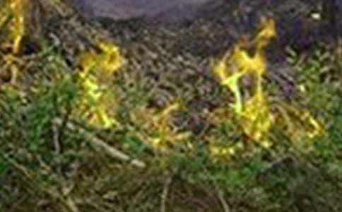 �h�x��ģ������������