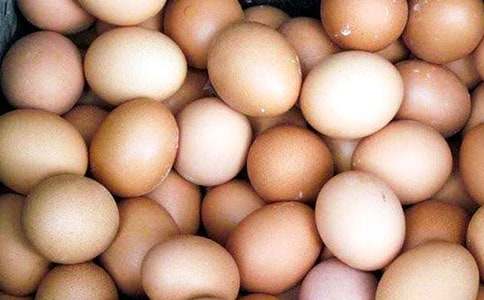 �u���Ě��ǽ������������