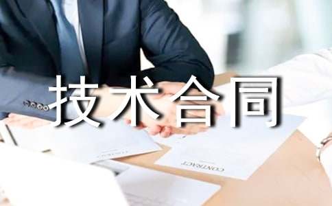 系統服務技術合同