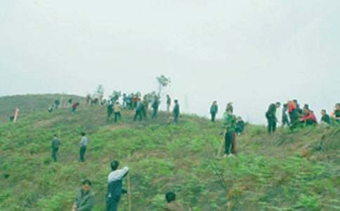 ���������������ģ�ͨ��53ƪ��