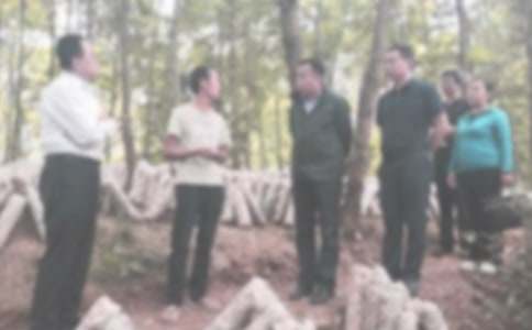 違紀檢討書范文