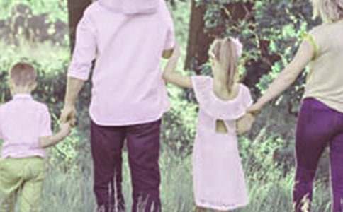 2017�W����ͥ��������