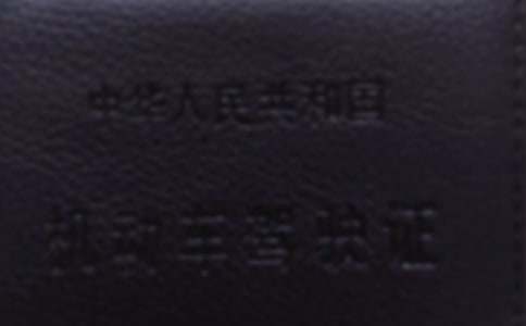 �P���{�՝M�֌W���ĵ��w��