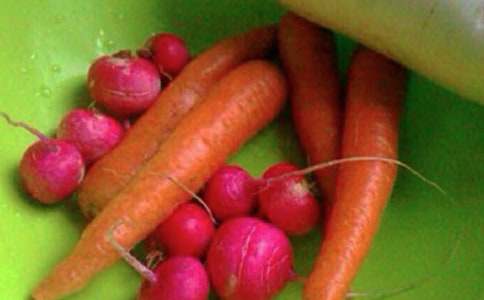 ���꼉�����̌WӋ����ͨ��15ƪ��