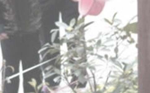 �������D���ģ�ͨ��50ƪ��