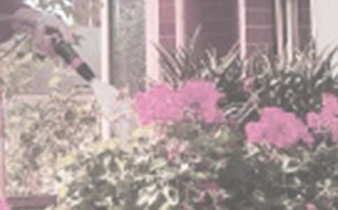 ��������400�־�ƪ