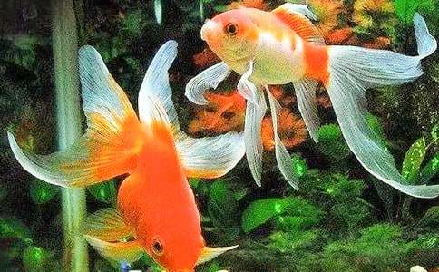 ι���~С�W������400��