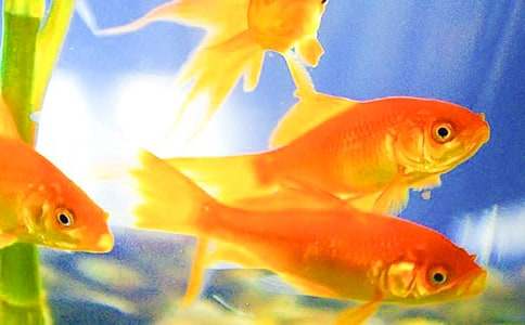 ���~ͯԒ����600����ƪ