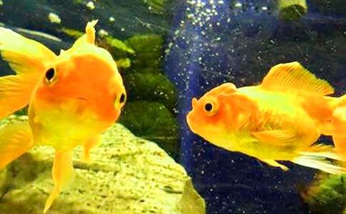 ���~�^����ӛ300�ַ���