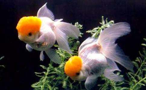 ���۽��~�^����ӛ