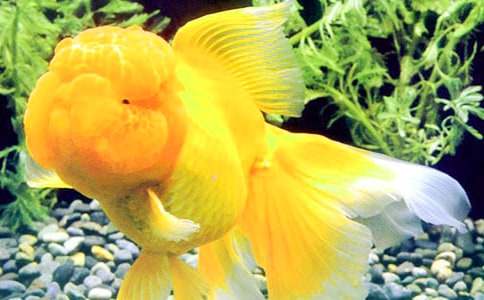 �^����~��ӛ����400��