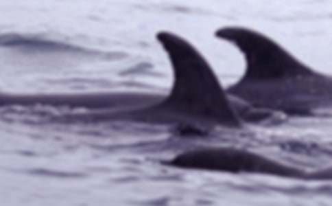 �L�~��������400��