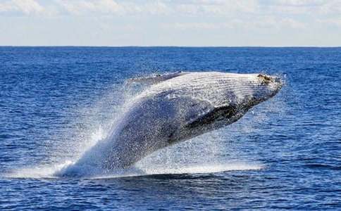 �����]���L�~����300��5ƪ