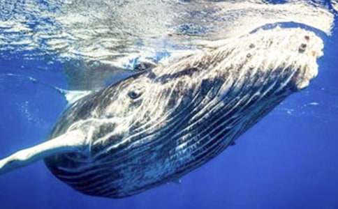 �L�~����400����ƪ