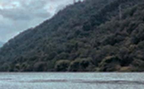 С��������ָ������ɫ�茑