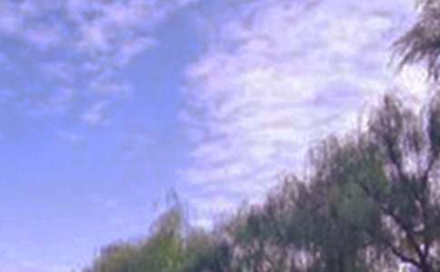 ���Ќ���ɫ�ă�������