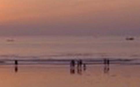 �茑����ľ�ɫ���ģ�ͨ��29ƪ��