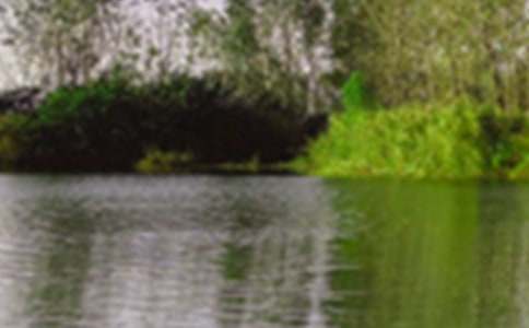 ��ɫ���~�Z