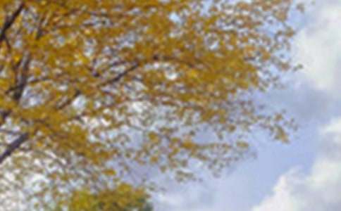 ��ԭ�ľ�ɫ���ģ����x32ƪ��