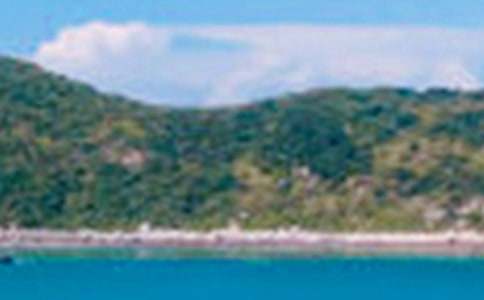 �茑���侰ɫ��С�W����