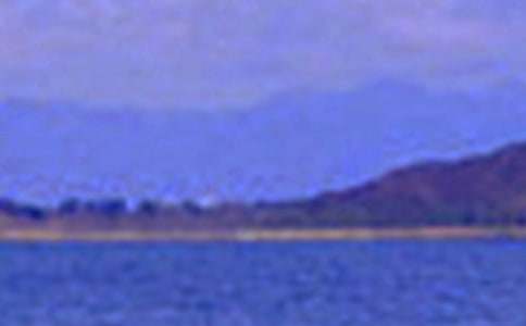 �茑��ɫ�Č�������