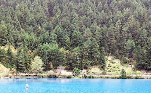 ��կ�Ͼ�ɫ����