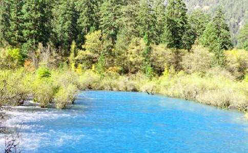 ���g�ɾ���կ�σ�������900��