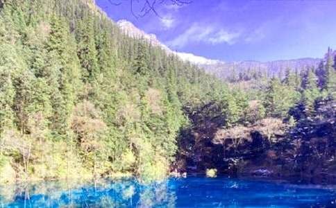 ���P��ɫ���ģ�����ľ�կ��