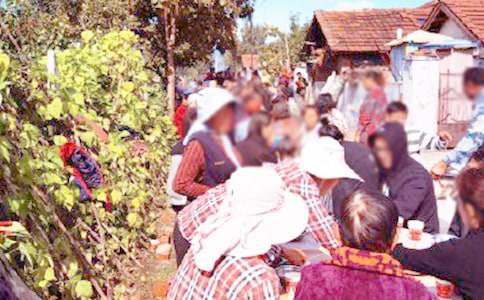 ��ϯ��Ո����ͨ��20ƪ��